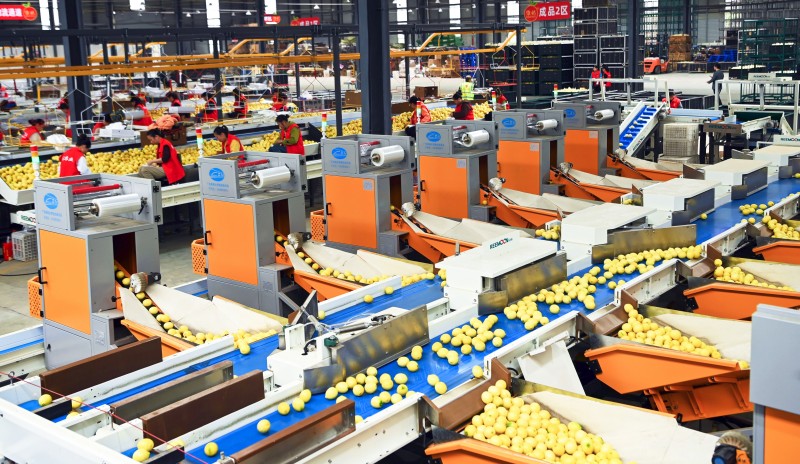 “安岳柠檬”品牌建设案例入选《全国果业品