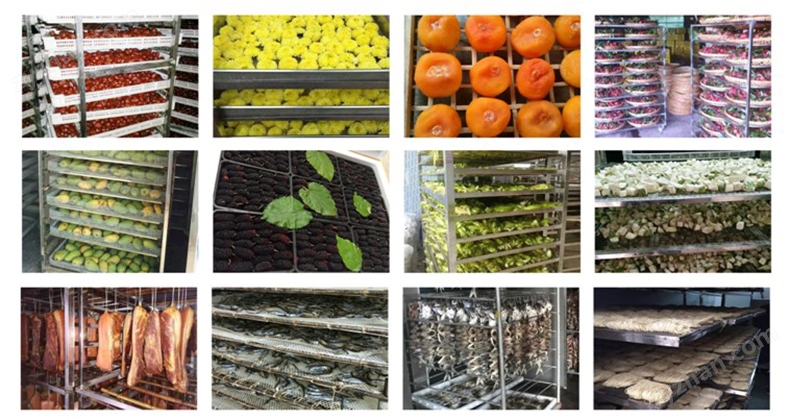 河南5起成功避险避灾案例被应急管理部通报